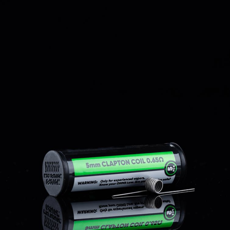 Wotofo bobine d\'identification pré-construite Clapton fusionné double cœur 0,65 ohm 5 mm 5 pièces BHZ8347 Wotofo shop online