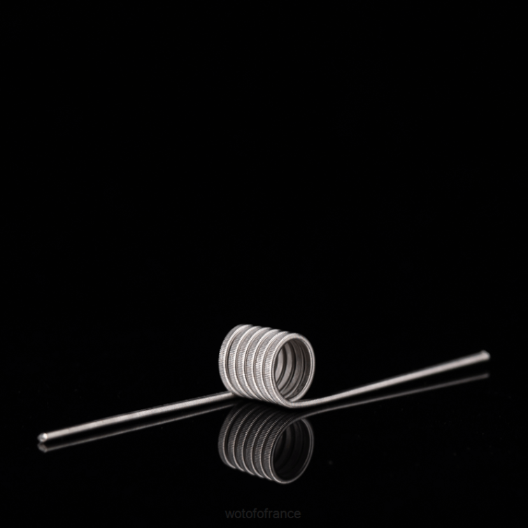 Wotofo bobine d\'identification pré-construite Clapton fusionné double cœur 0,65 ohm 5 mm 5 pièces BHZ8347 Wotofo shop online